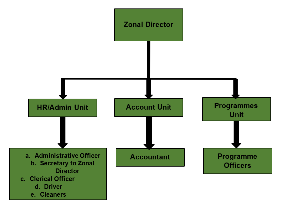 NBTE south south zonal office organogram