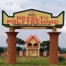 novelty poly